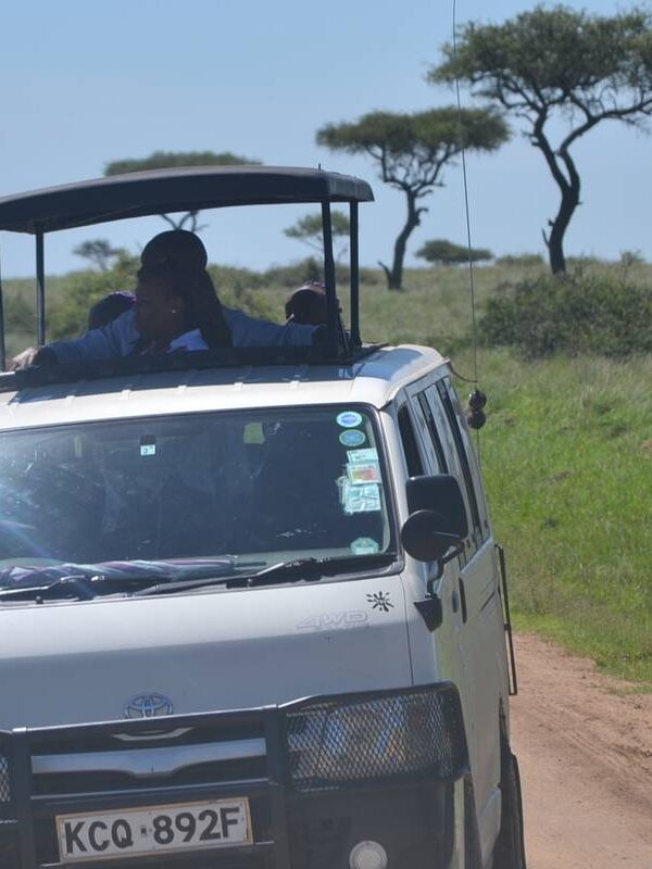 Kenya Tanzania Safari